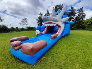 Vente château gonflable toboggan aquatique requin