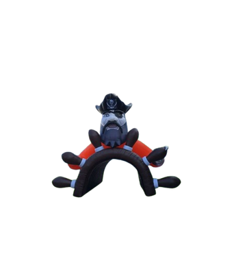 Vente tente gonflable tunnel pirate