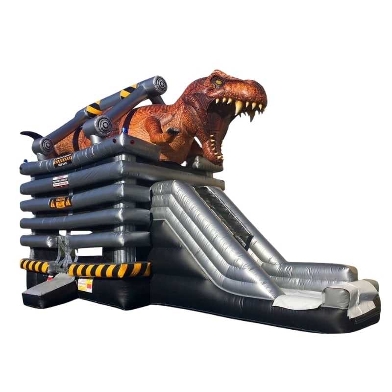 Vente château gonflable toboggan dino