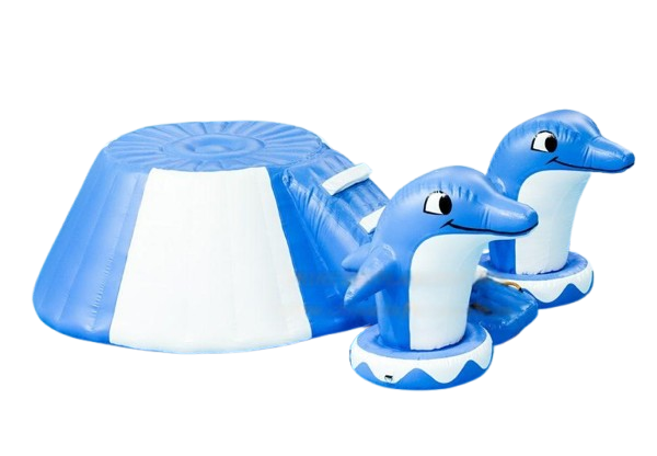 Vente module aquatique gonflable piscine dauphin
