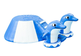 Vente module aquatique gonflable piscine dauphin