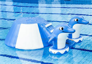 Vente module aquatique gonflable piscine dauphin