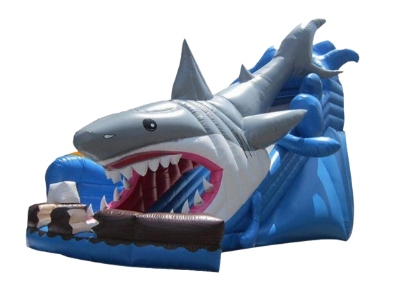 Château gonflable requin