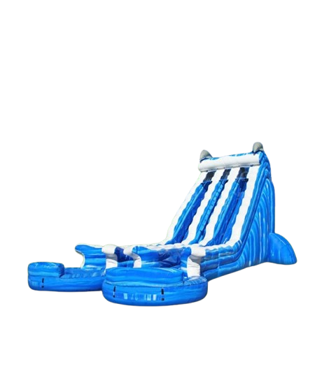 Vente château gonflable toboggan aquatique dauphins