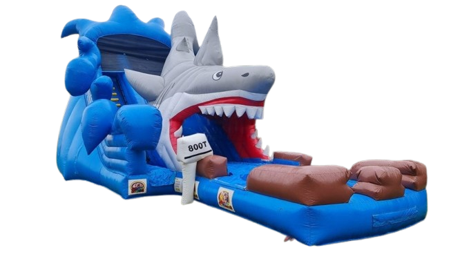 Vente château gonflable toboggan aquatique requin