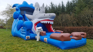 Vente château gonflable toboggan aquatique requin