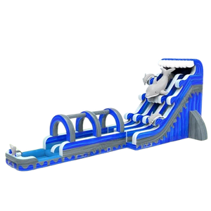 Vente château gonflable toboggan aquatique dauphins