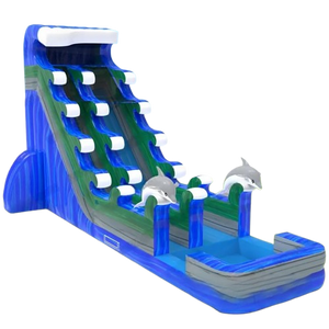 Vente château gonflable toboggan aquatique dauphins