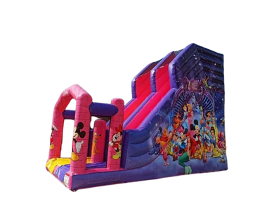 Vente château gonflable toboggan Disney
